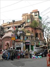 by kirsty_nz, Views[212]