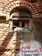 by kirsty_nz, Views[191]