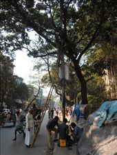 by kirsty_nz, Views[170]