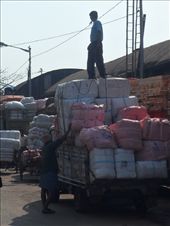 by kirsty_nz, Views[191]