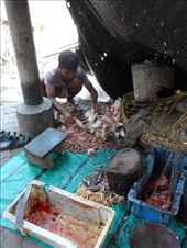 by kirsty_nz, Views[106]