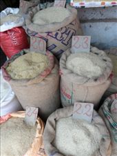 by kirsty_nz, Views[108]