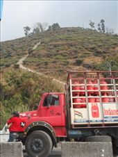 by kirsty_nz, Views[98]