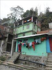 by kirsty_nz, Views[104]