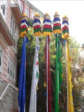 by kirsty_nz, Views[111]