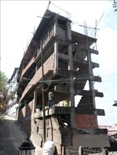 by kirsty_nz, Views[124]