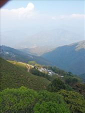 by kirsty_nz, Views[126]