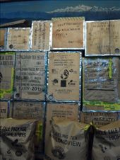 by kirsty_nz, Views[147]