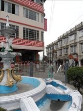 by kirsty_nz, Views[116]