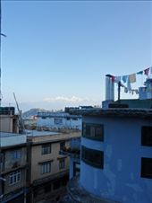 by kirsty_nz, Views[105]