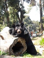 by kirsty_nz, Views[100]