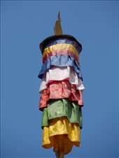 by kirsty_nz, Views[123]