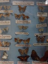 by kirsty_nz, Views[100]