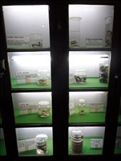 by kirsty_nz, Views[93]