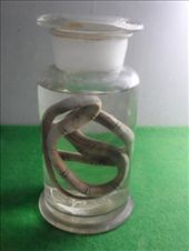 by kirsty_nz, Views[101]