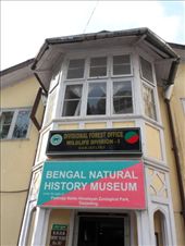 by kirsty_nz, Views[171]