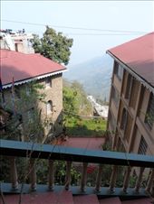 by kirsty_nz, Views[93]