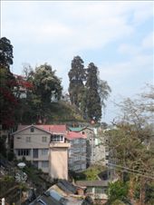 by kirsty_nz, Views[101]