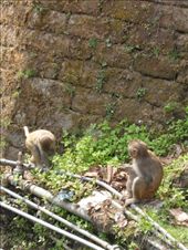 by kirsty_nz, Views[123]