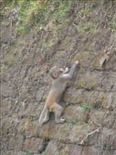 by kirsty_nz, Views[304]