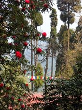 by kirsty_nz, Views[321]