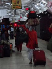 by kirsty_nz, Views[290]