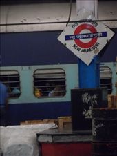 by kirsty_nz, Views[351]