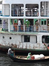 by kirsty_nz, Views[208]