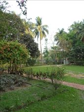 by kirsty_nz, Views[201]