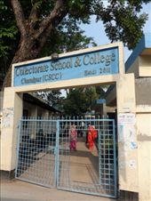 by kirsty_nz, Views[209]