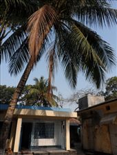 by kirsty_nz, Views[174]