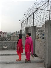 by kirsty_nz, Views[188]