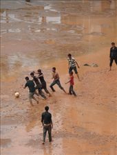 by kirsty_nz, Views[117]