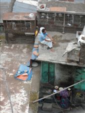 by kirsty_nz, Views[122]