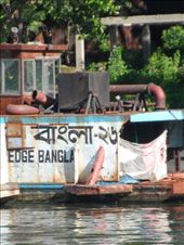 by kirsty_nz, Views[161]