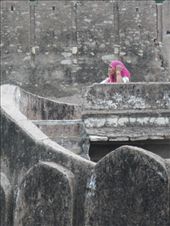 by kirsty_nz, Views[170]