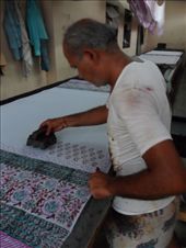 by kirsty_nz, Views[168]