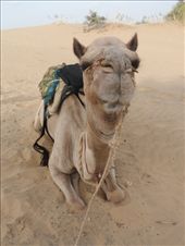 by kirsty_nz, Views[227]