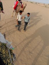 by kirsty_nz, Views[240]