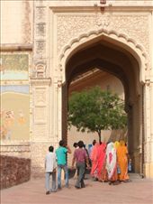 by kirsty_nz, Views[212]