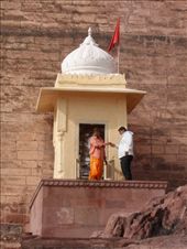 by kirsty_nz, Views[212]