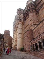 by kirsty_nz, Views[203]