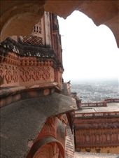 by kirsty_nz, Views[204]