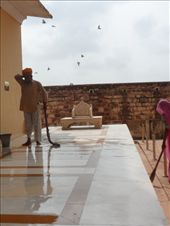 by kirsty_nz, Views[227]