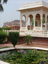 by kirsty_nz, Views[135]