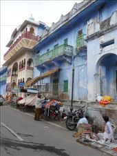 by kirsty_nz, Views[127]