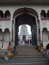 by kirsty_nz, Views[122]