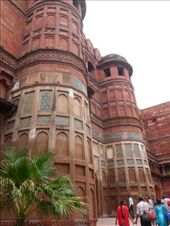 by kirsty_nz, Views[312]