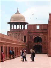 by kirsty_nz, Views[329]