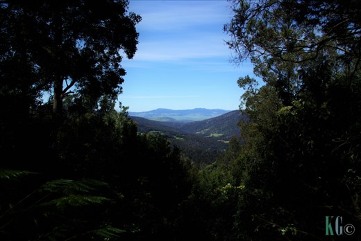Lake Dobson Road Lookout